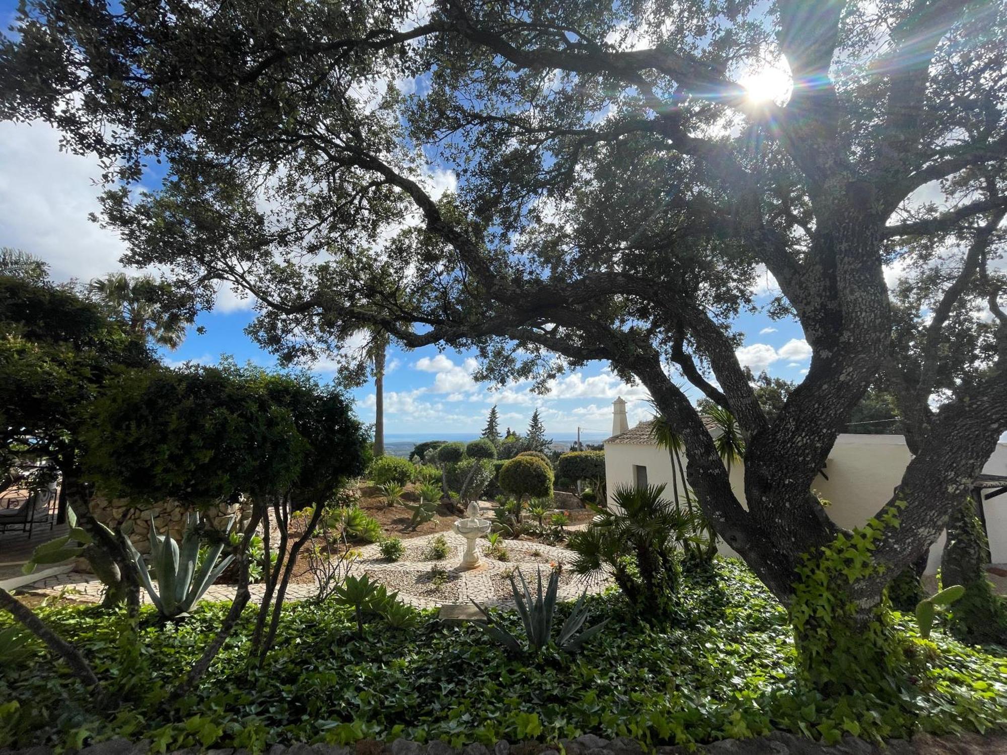 Villa Monte Borboleta Distretto di Distretto di Faro Esterno foto